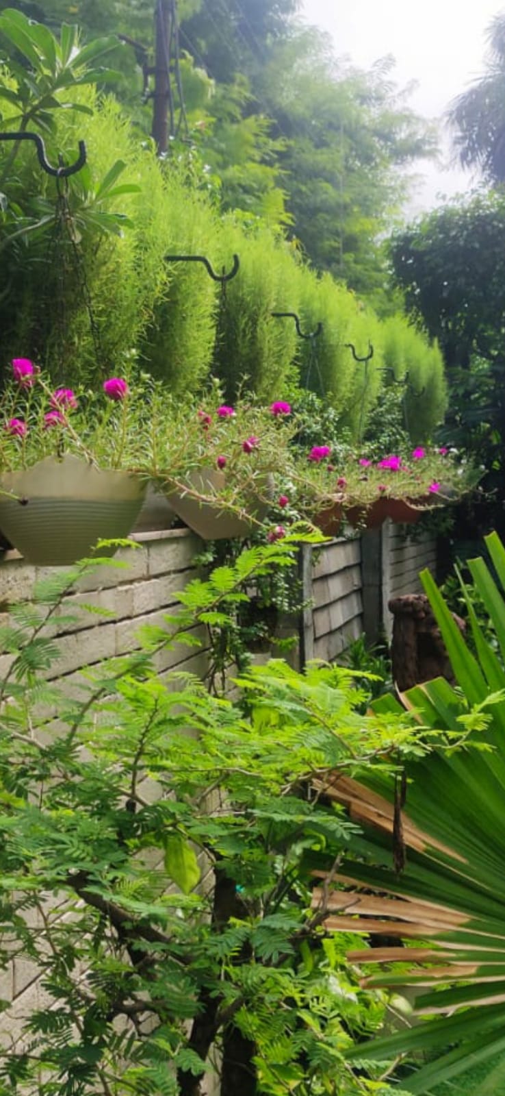 RESIDENTIAL PROPERTY UNDER 10.25 CRORE IN SECTOR 47 NOIDA - Photo 3