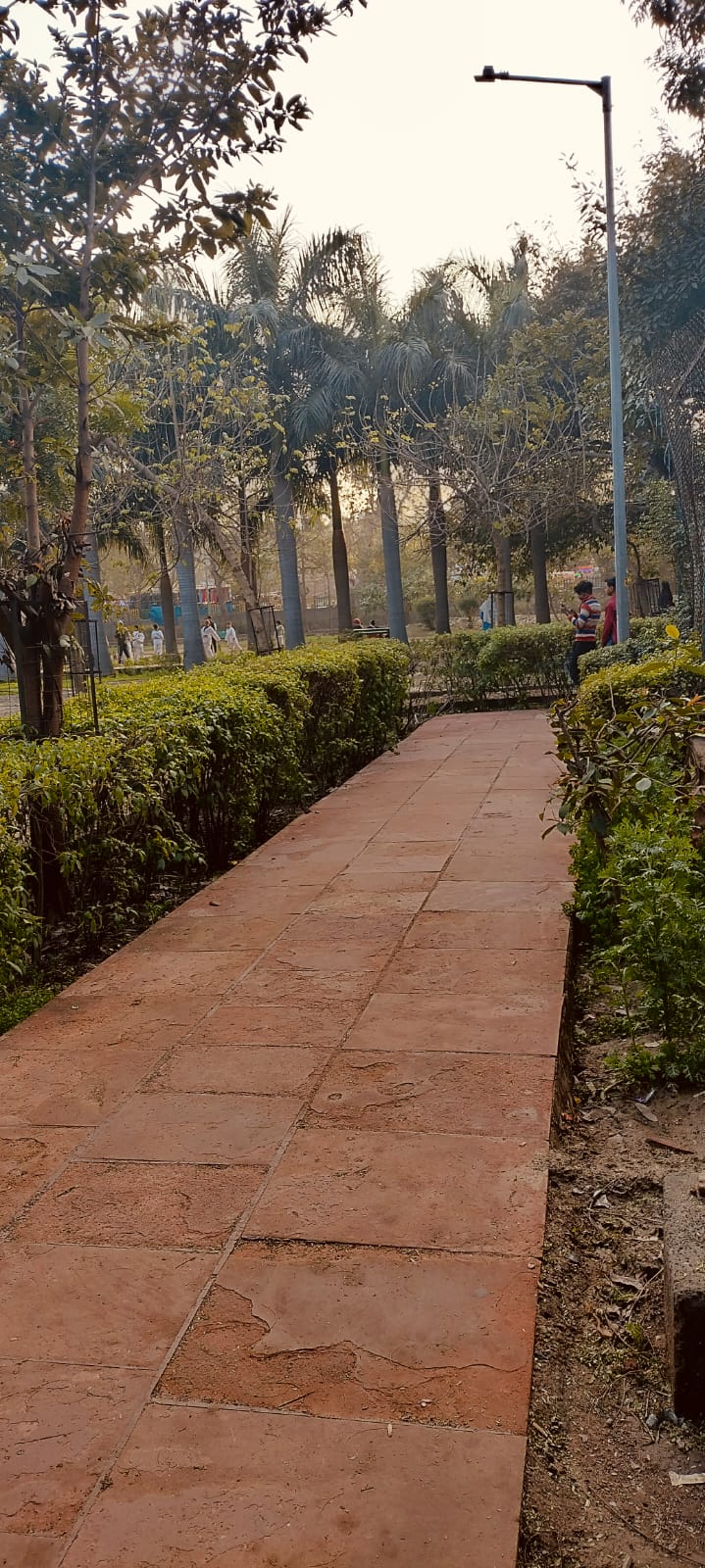 Residential Plot in Noida Sector 14 Noida