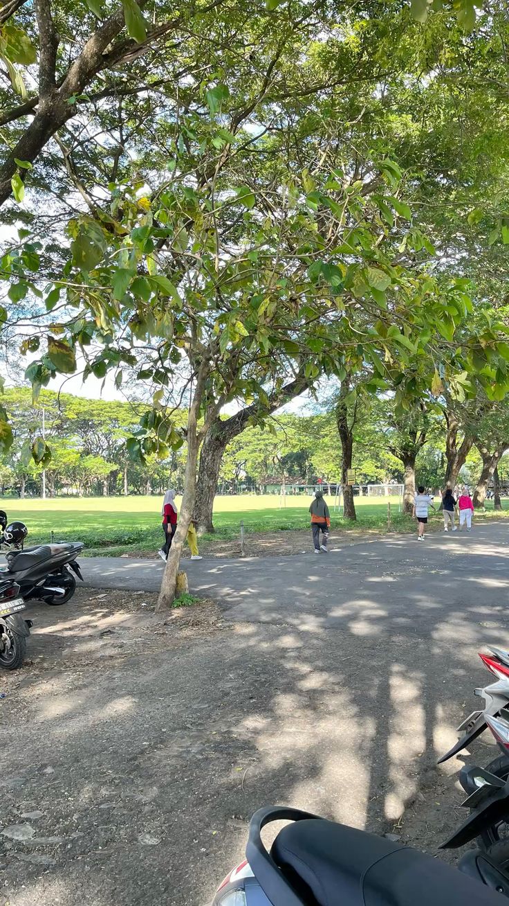 RESIDENTIAL PARK FACING KOTHI IN SECTOR -41 NOIDA - Photo 20