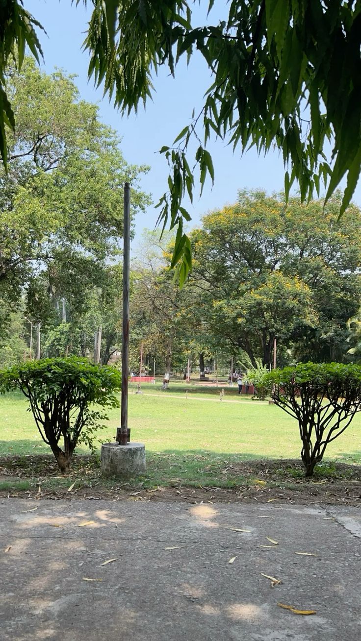 RESIDENTIAL PARK FACING KOTHI IN SECTOR -41 NOIDA - Photo 21