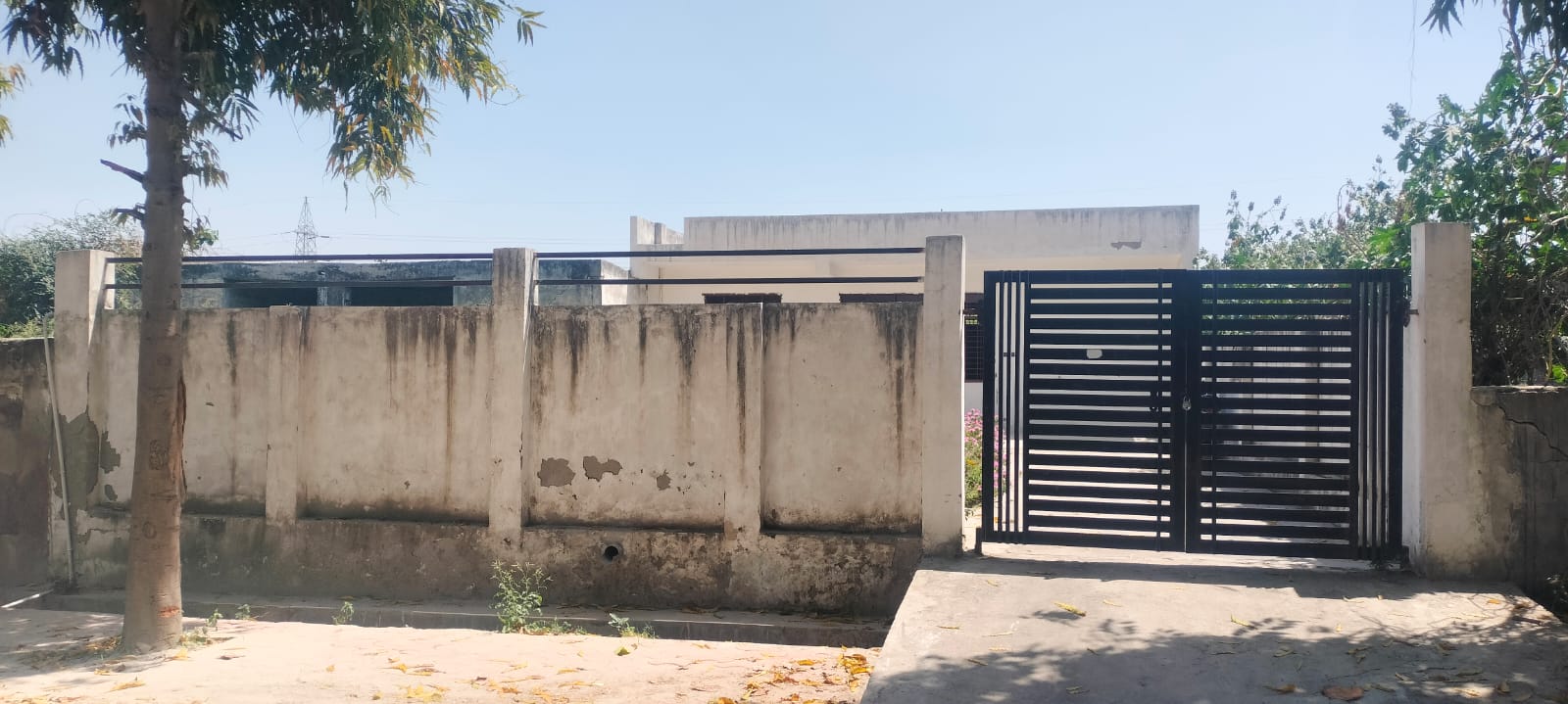 Premium Residential Kothi  Available For Sale Sector-19 Noida