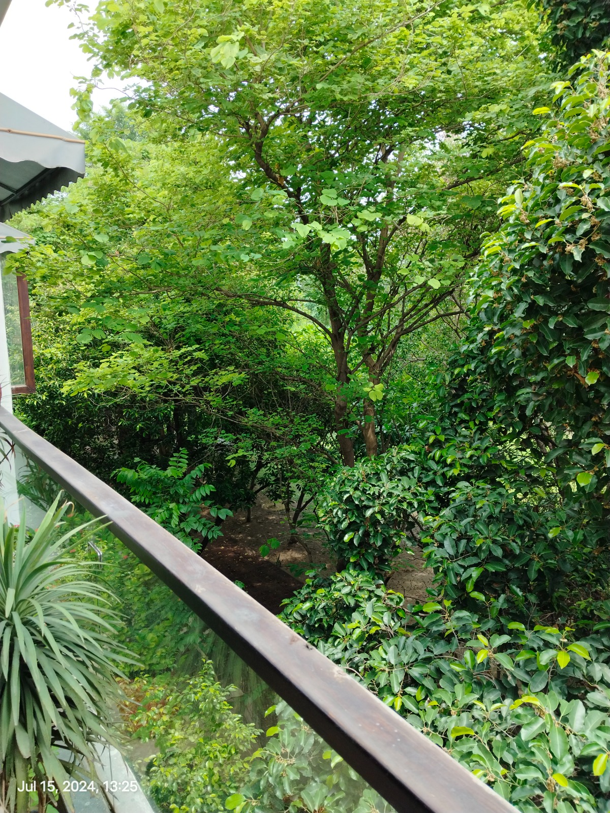 Luxury Independent House in Sector 31 Noida - Photo 3